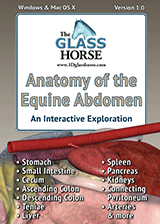 EquineAnatomyCover